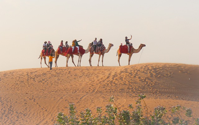 incredible desert safaris